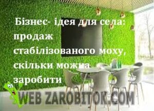 Бізнес-ідея для села: виробництво стабілізованого моху
