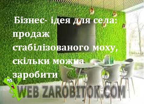 Бізнес-ідея для села: виробництво стабілізованого моху