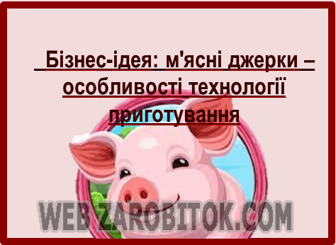 Бізнес-ідея м'ясні джеркі