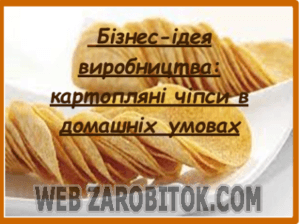 Бізнес-ідея виробництва: картопляні чіпси в домашніх умовах